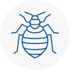 Bed Bug Extermination In North Ealing