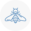 Bee Nest Removal North Ealing