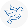 Bird Prevention North Ealing