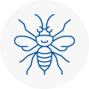 North Ealing Hornet Nest Removals