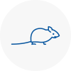Mice Exterminators In North Ealing