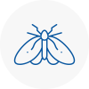 Moth Control Specialists In North Ealing
