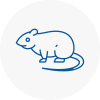 Rat Control North Ealing