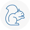 North Ealing Rodent Removals